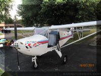 Dwight's Avid Speed Wing #2