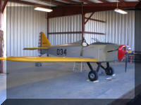 Right Side of Fly Baby