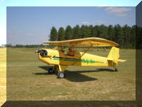 Norman Taxis in Baby Ace